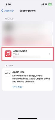 how to cancel apple music subscription on iphone: should you consider alternative streaming services?